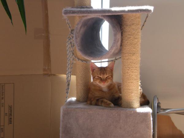 Photo du logement