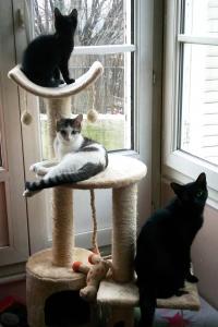 Photo du logement