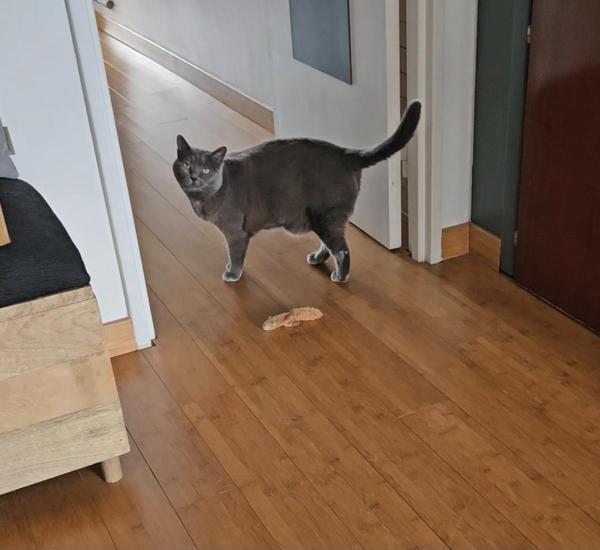 Photo du logement