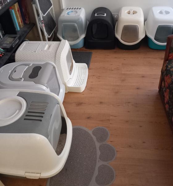 Photo du logement