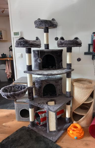 Photo du logement