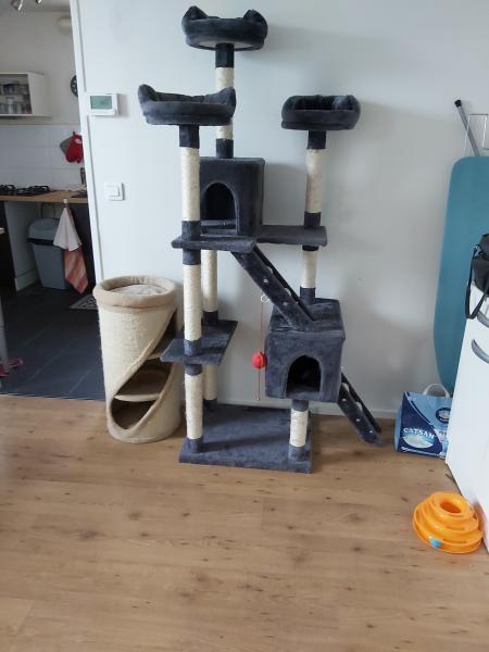 Photo du logement