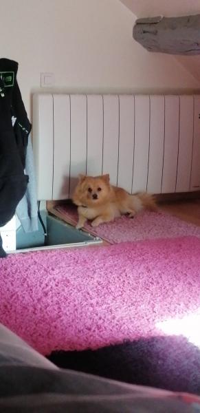 Photo du logement