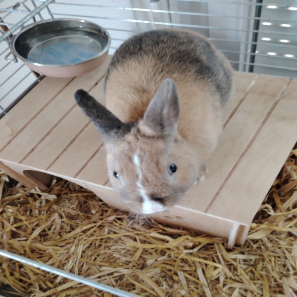 Photo du logement