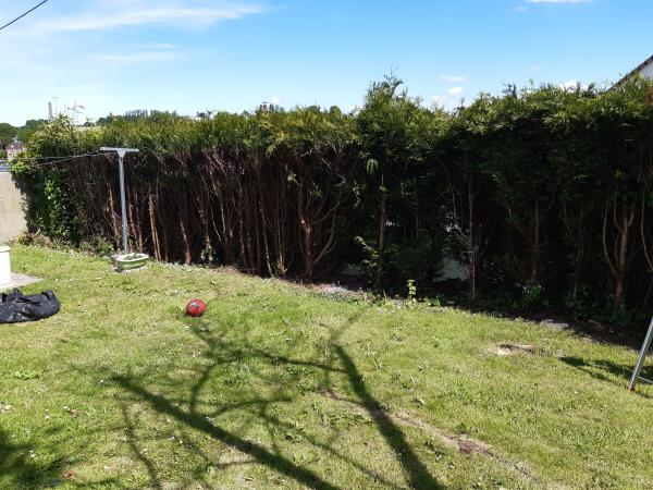 Photo du logement