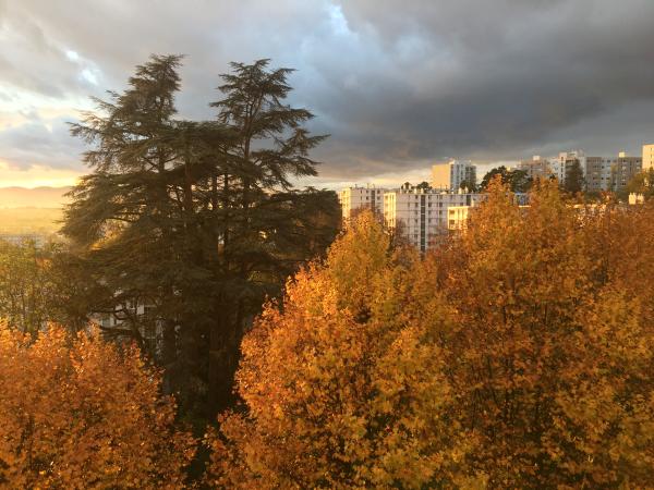 Photo du logement
