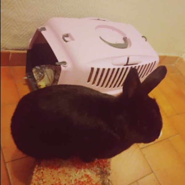 Photo du logement