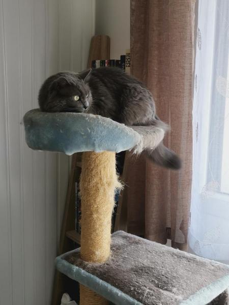 Photo du logement
