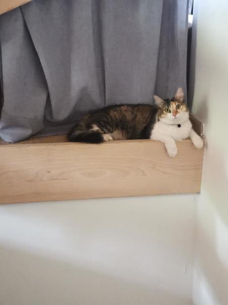 Photo du logement