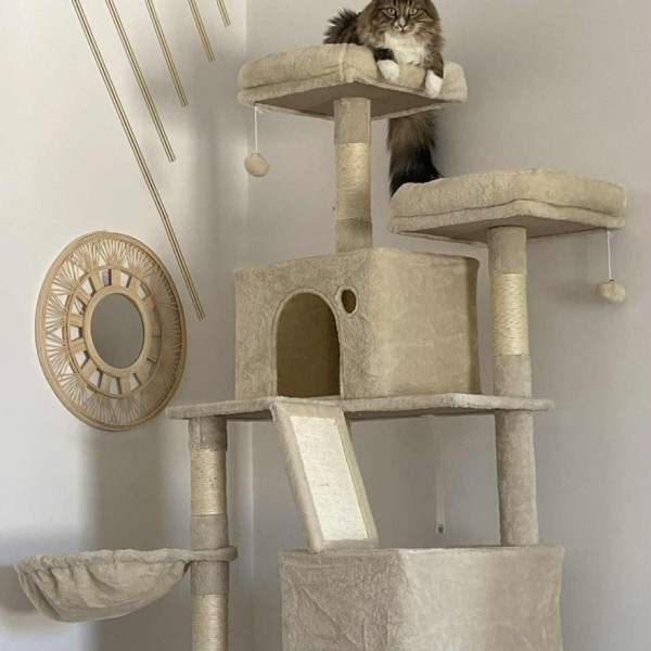 Photo du logement