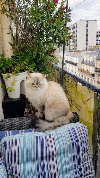 Photo du logement
