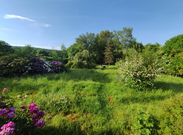 Photo du logement