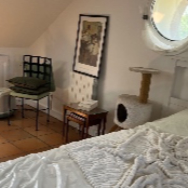 Photo du logement