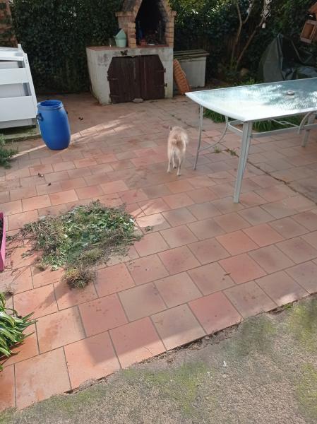 Photo du logement