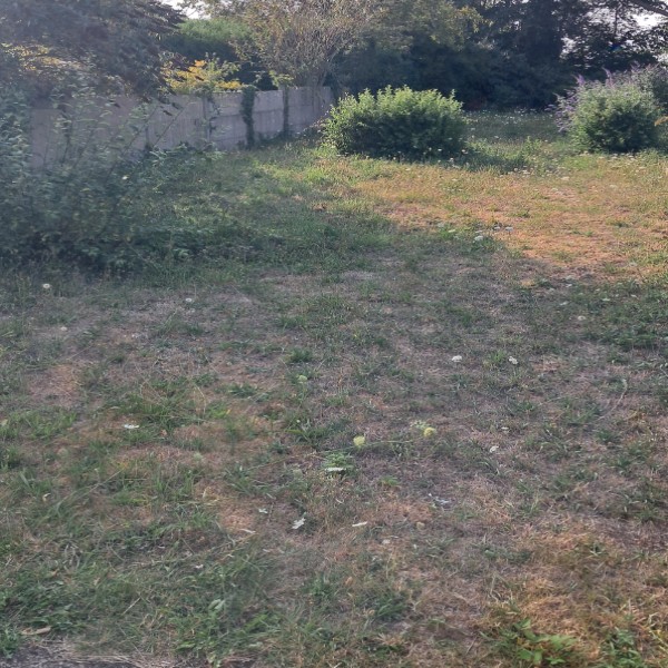 Photo du logement