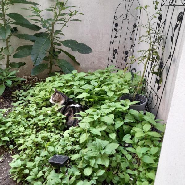 Photo du logement