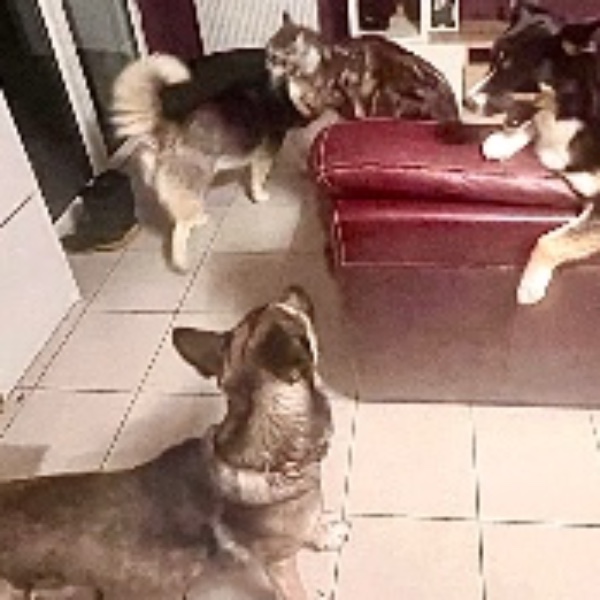Photo du logement