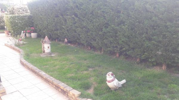 Photo du logement