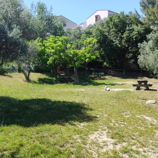Photo du logement