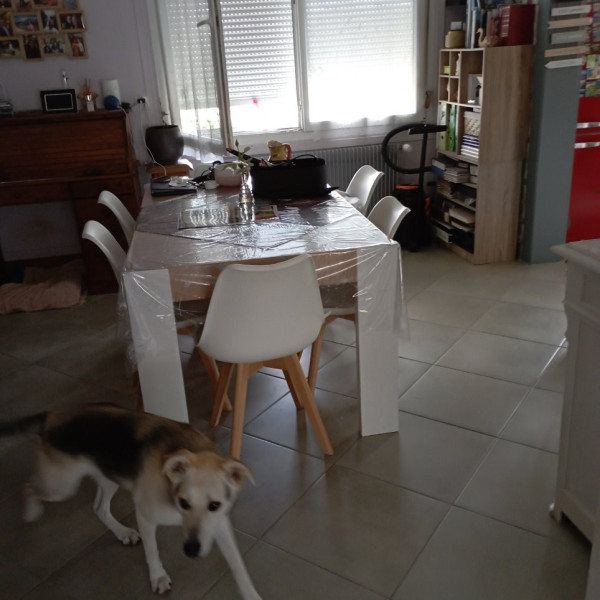 Photo du logement
