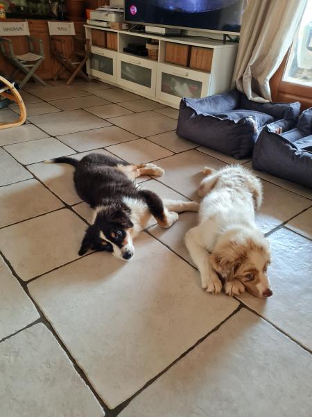 Photo du logement