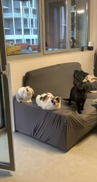 Photo du logement