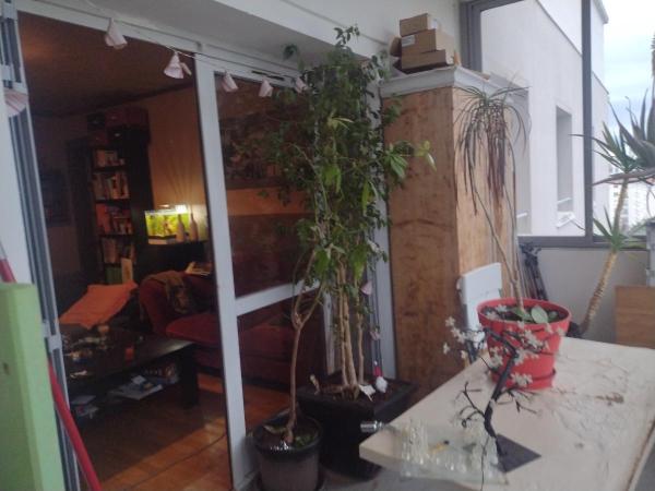 Photo du logement
