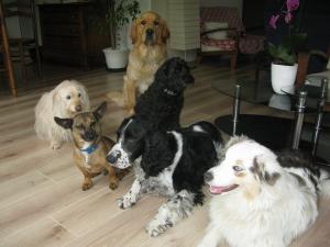Photo du logement