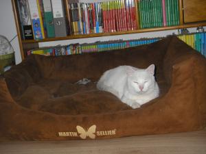 Photo du logement
