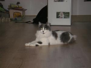 Photo du logement