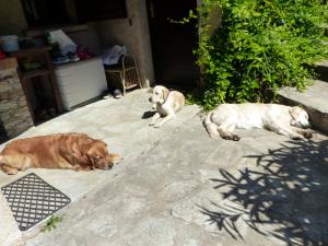 Photo du logement