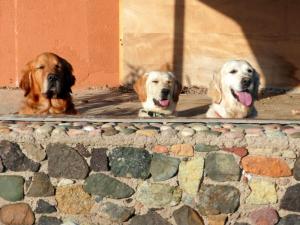 Photo du logement