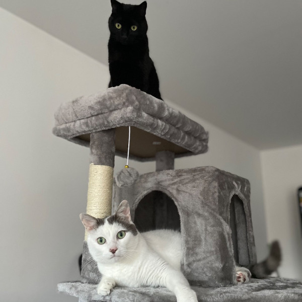Photo du logement