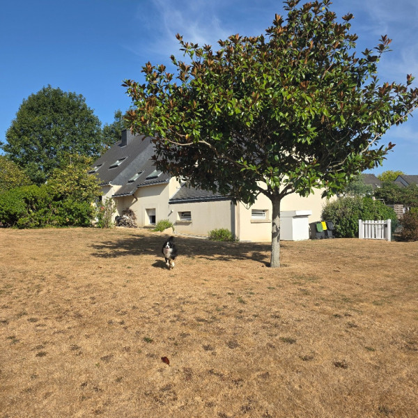 Photo du logement