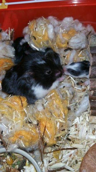 Photo du logement