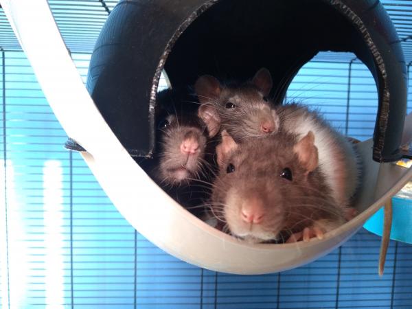 Photo du logement