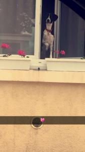Photo du logement