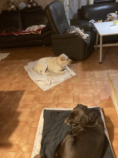 Photo du logement