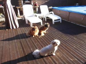 Photo du logement