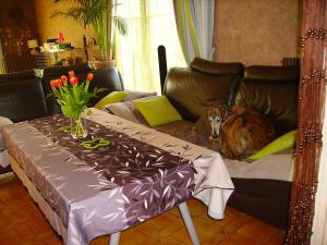 Photo du logement