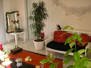 Photo du logement