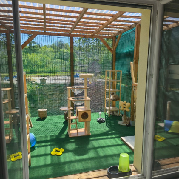 Photo du logement