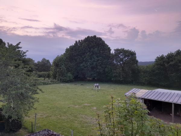 Photo du logement
