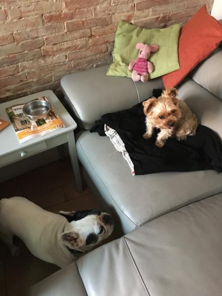 Photo du logement
