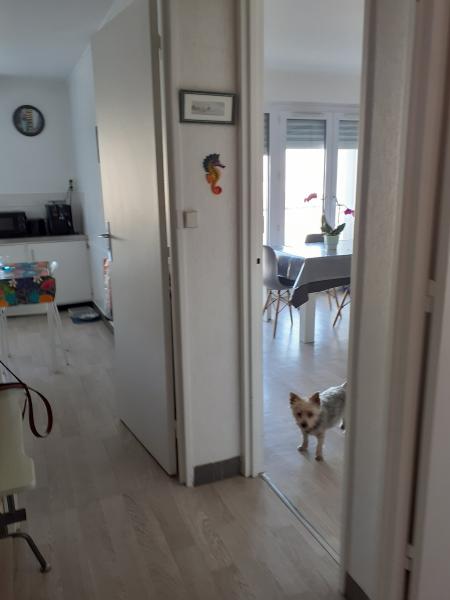 Photo du logement