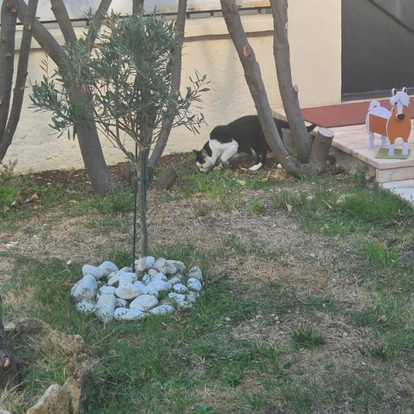 Photo du logement