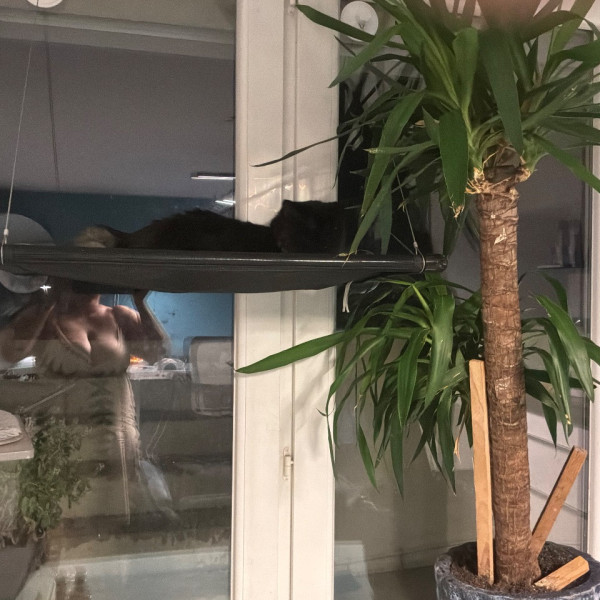 Photo du logement