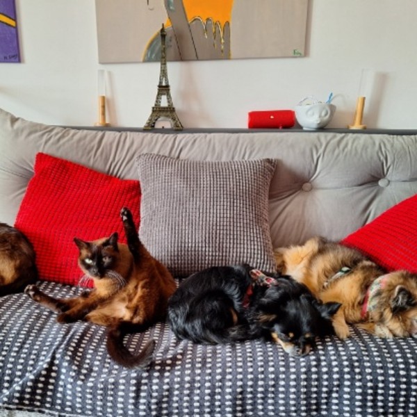 Photo du logement