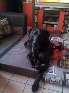 Photo du logement