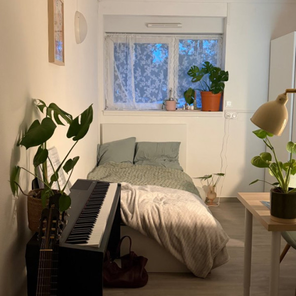 Photo du logement